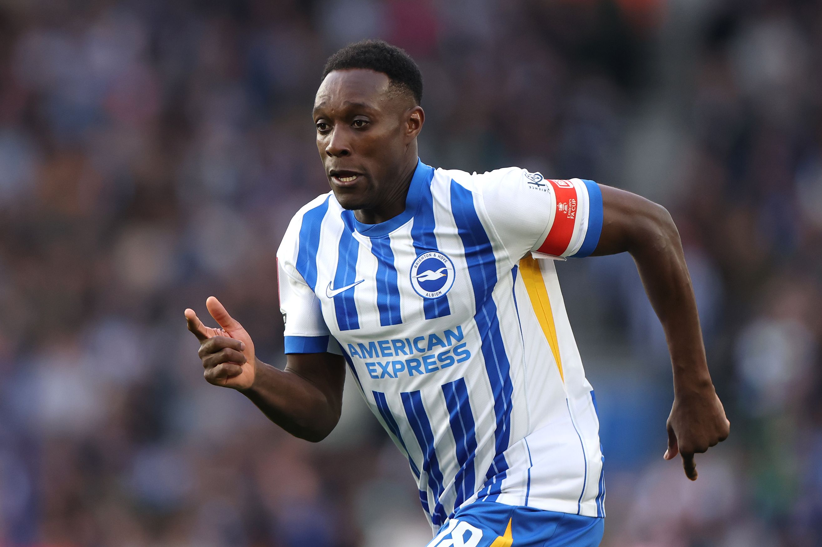 Danny Welbeck in action for Brighton.