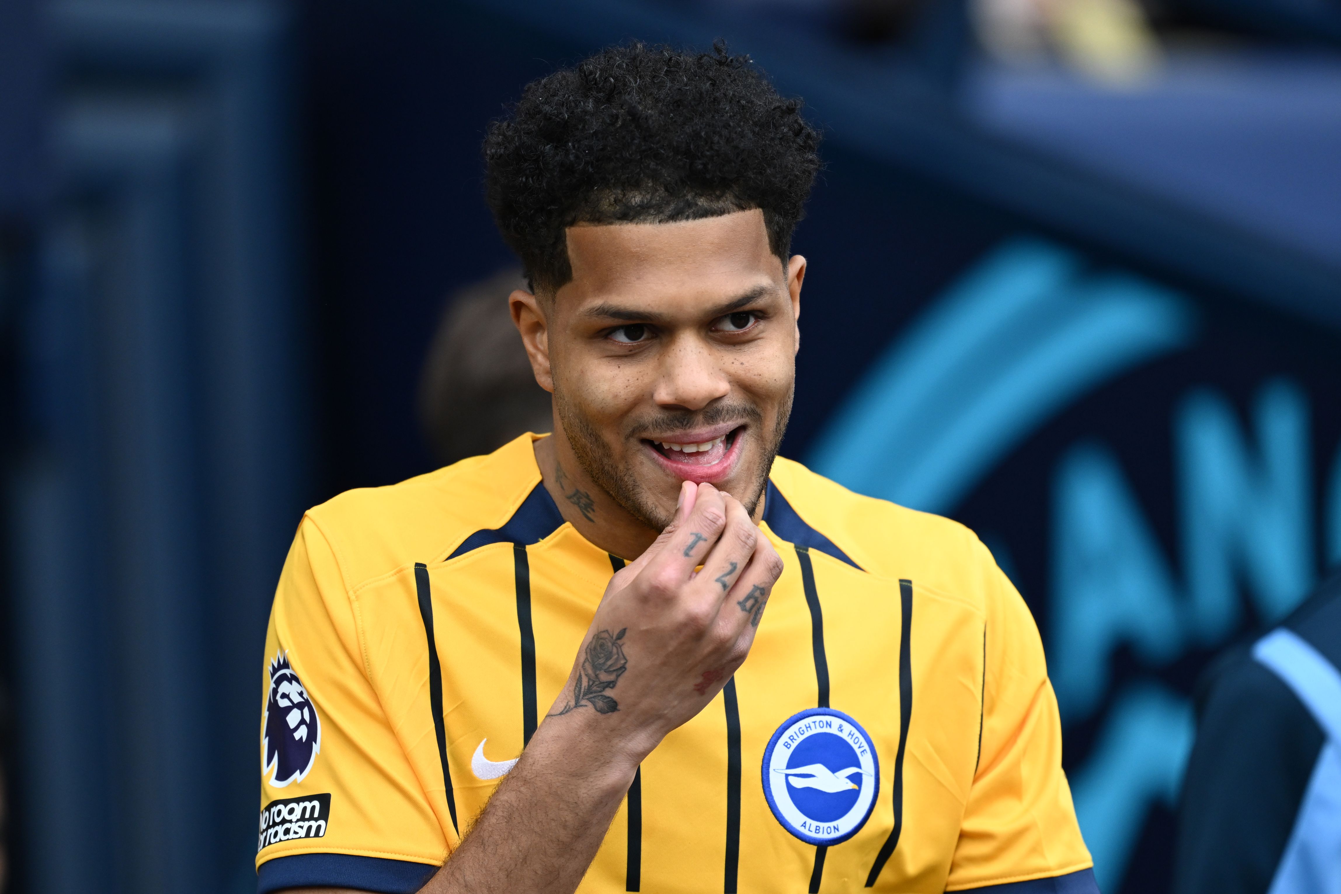Georginio Rutter in action for Brighton.