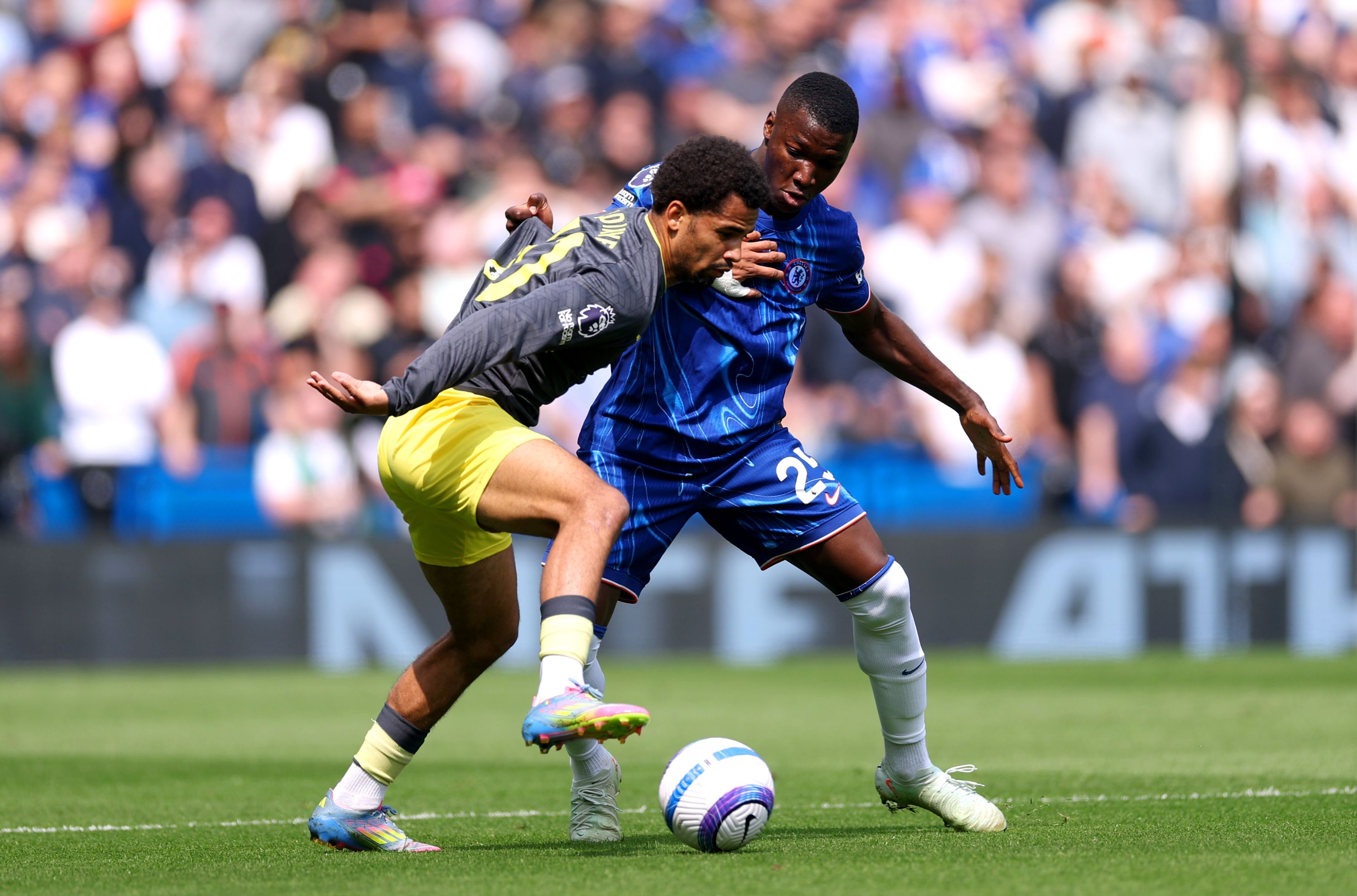 Moises Caicedo battles for possession against Everton.