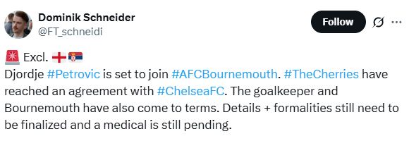 Dominik Schneider's Tweet about Bournemouth interest in Djordje Petrovic.