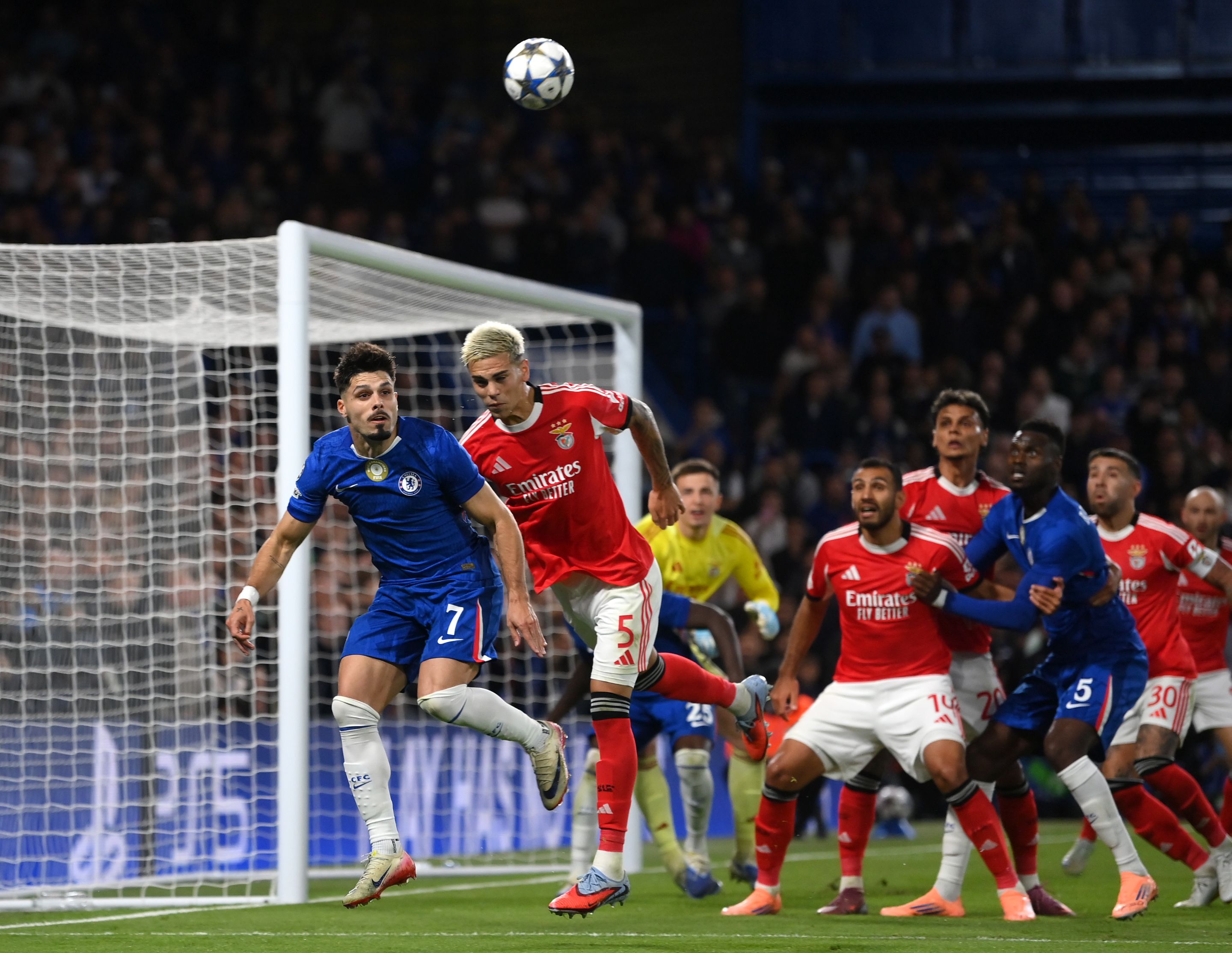 Pedro Neto in action against Benfica.