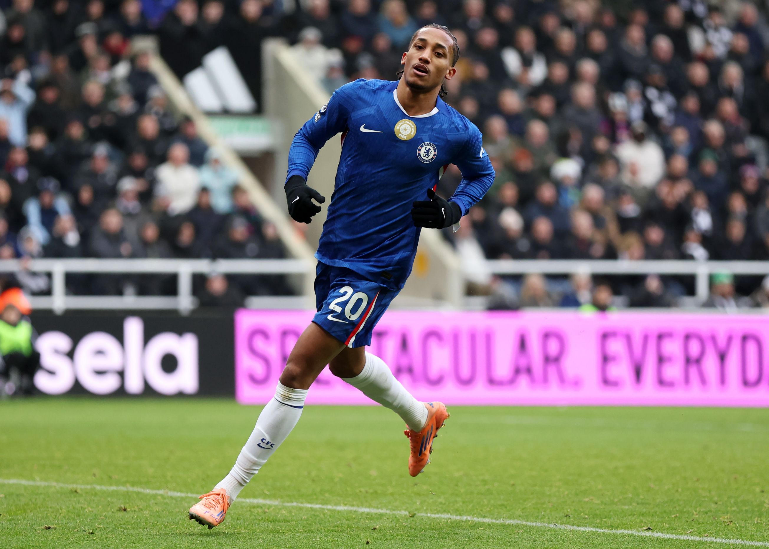 Joao Pedro celebrates scoring against Newcastle.